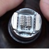 ThunderHead Creations Tauren Max RDA